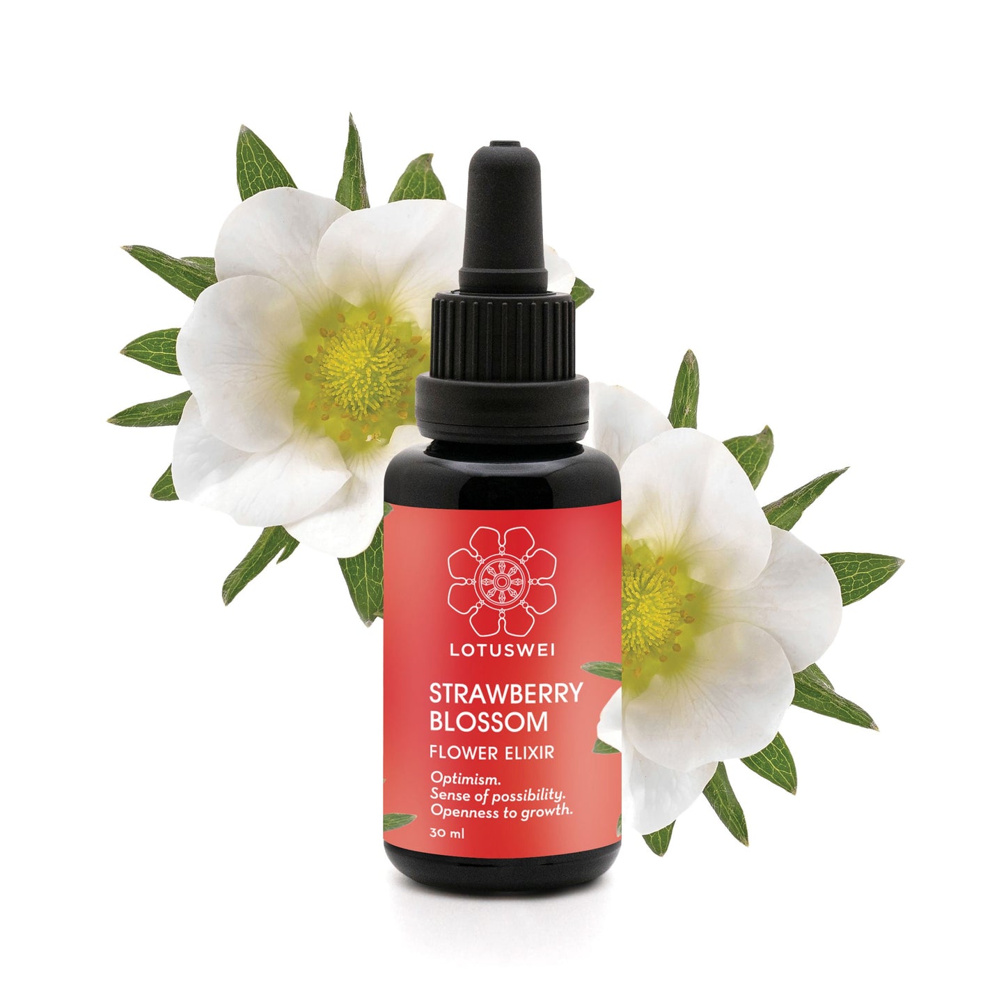 Strawberry Blossom Elixir