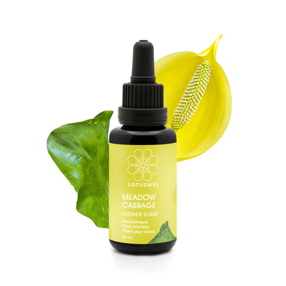 Meadow Cabbage Elixir