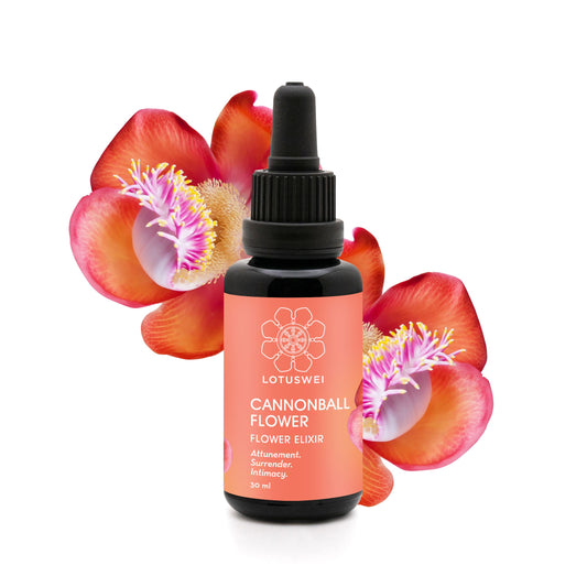 Cannonball Flower Elixir