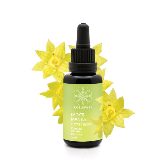 Lady's Mantle Elixir