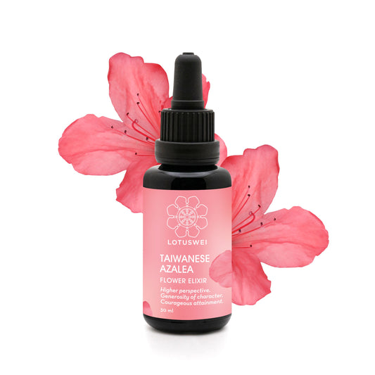 Taiwan Azalea Flower Elixir