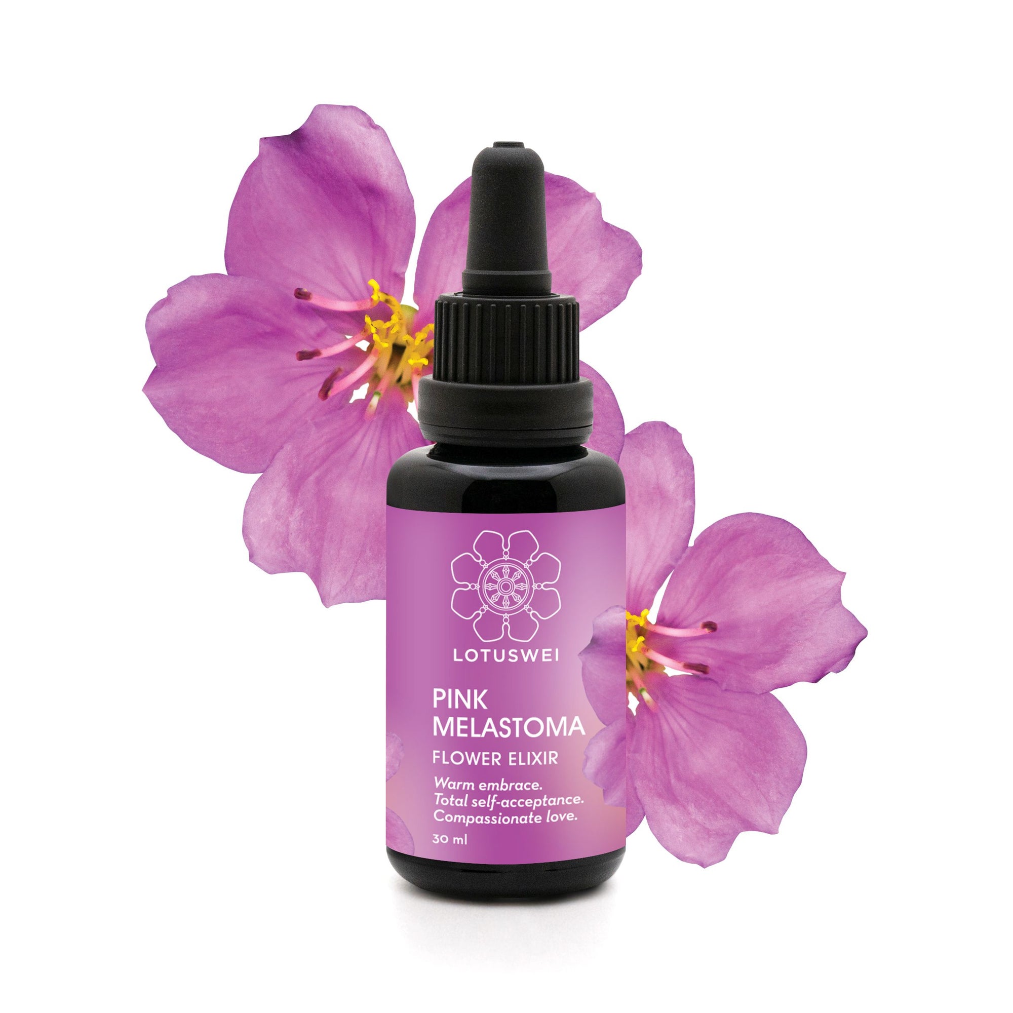 Pink Melastoma Flower Elixir