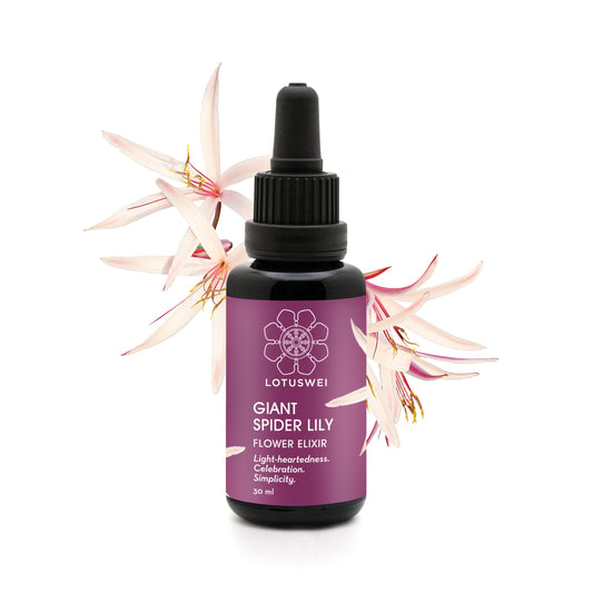 Giant Spider Lily Flower Elixir