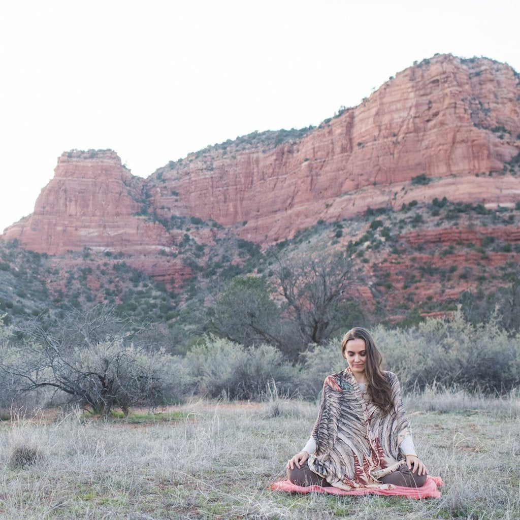 Wakefulness Meditation Instruction + Practice Series
